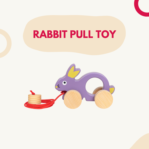 Rabbit Pull Toy
