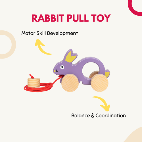 Rabbit Pull Toy